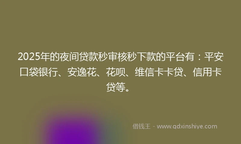 2025年的夜间贷款秒审核秒下款的平台有：平安口袋银行、安逸花、花呗、维信卡卡贷、信用卡贷等。