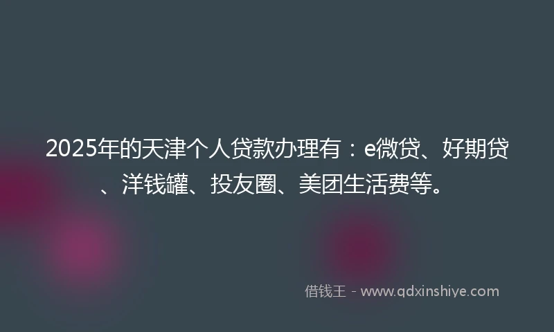 2025年的天津个人贷款办理有：e微贷、好期贷、洋钱罐、投友圈、美团生活费等。