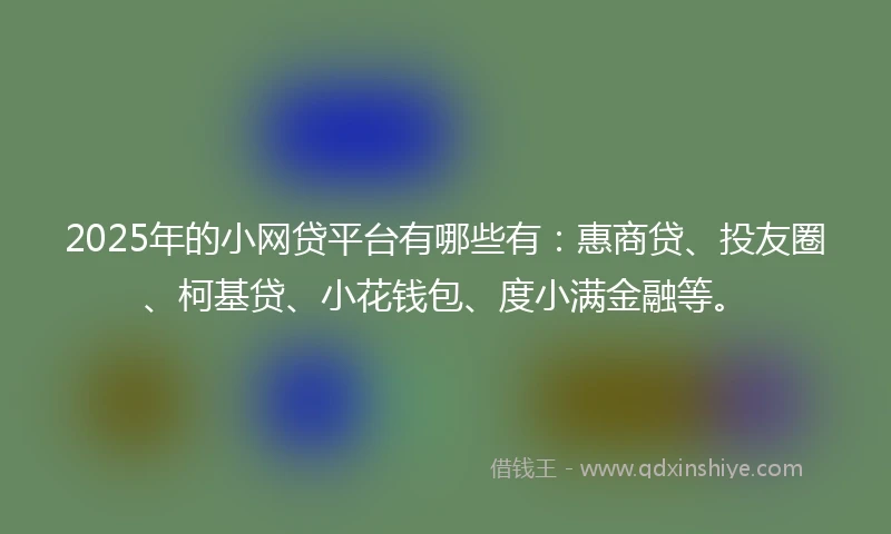 2025年的小网贷平台有哪些有：惠商贷、投友圈、柯基贷、小花钱包、度小满金融等。