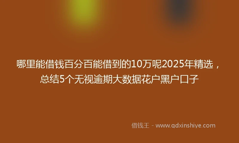 哪里能借钱百分百能借到的10万呢2025年精选，总结5个无视逾期大数据花户黑户口子