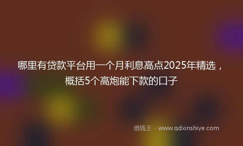 哪里有贷款平台用一个月利息高点2025年精选，概括5个高炮能下款的口子
