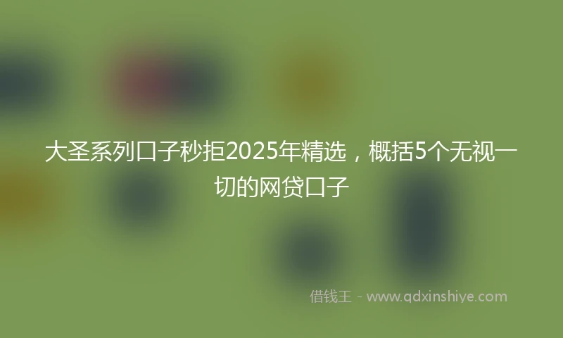 大圣系列口子秒拒2025年精选，概括5个无视一切的网贷口子