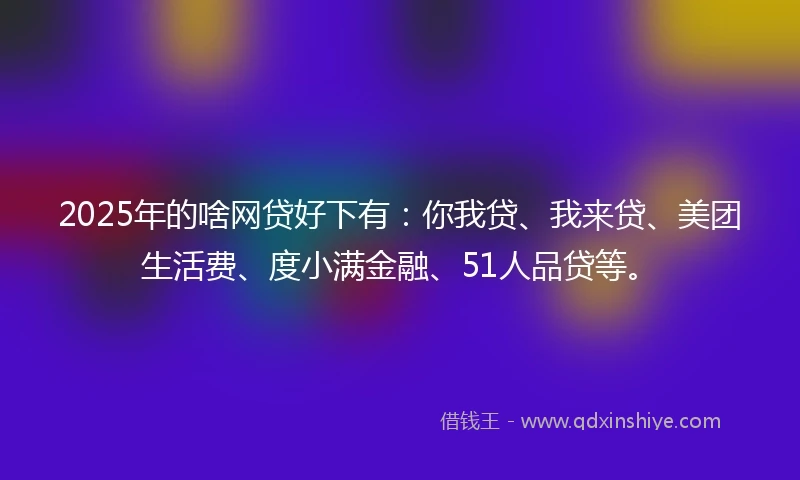 2025年的啥网贷好下有：你我贷、我来贷、美团生活费、度小满金融、51人品贷等。