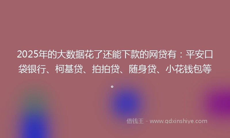 2025年的大数据花了还能下款的网贷有：平安口袋银行、柯基贷、拍拍贷、随身贷、小花钱包等。