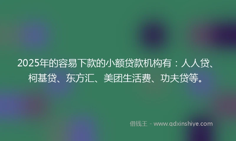 2025年的容易下款的小额贷款机构有：人人贷、柯基贷、东方汇、美团生活费、功夫贷等。