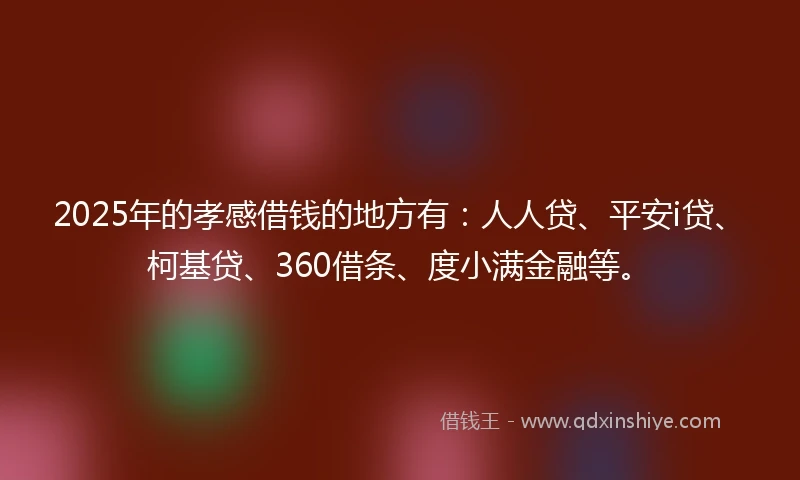 2025年的孝感借钱的地方有：人人贷、平安i贷、柯基贷、360借条、度小满金融等。