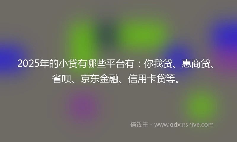 2025年的小贷有哪些平台有：你我贷、惠商贷、省呗、京东金融、信用卡贷等。