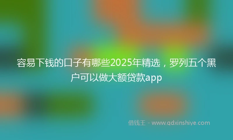 容易下钱的口子有哪些2025年精选，罗列五个黑户可以做大额贷款app