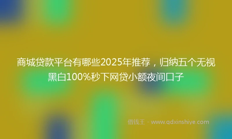商城贷款平台有哪些2025年推荐，归纳五个无视黑白100%秒下网贷小额夜间口子