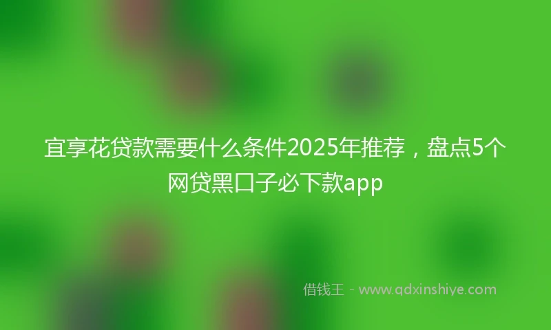 宜享花贷款需要什么条件2025年推荐，盘点5个网贷黑口子必下款app