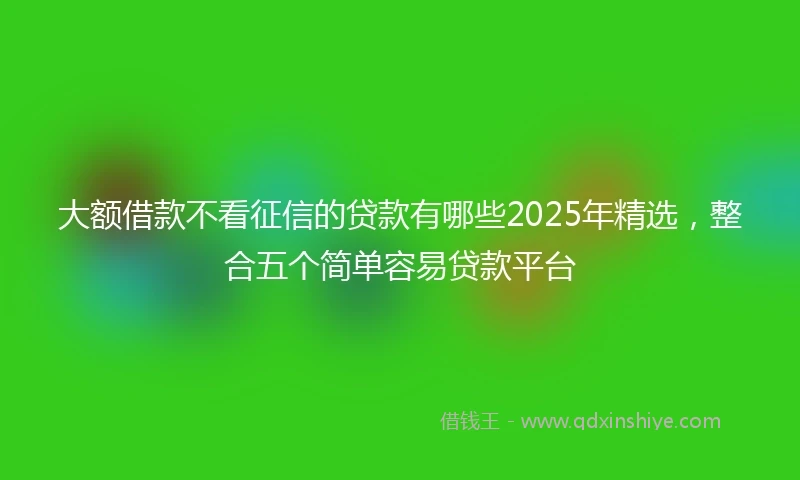 大额借款不看征信的贷款有哪些2025年精选，整合五个简单容易贷款平台