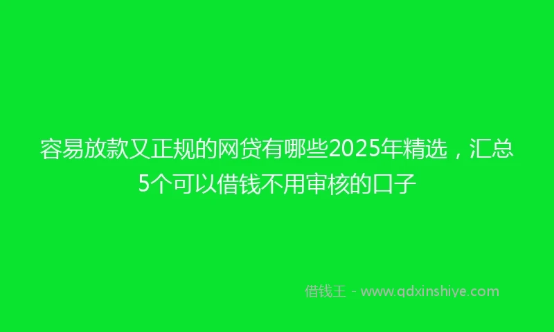 容易放款又正规的网贷有哪些2025年精选，汇总5个可以借钱不用审核的口子