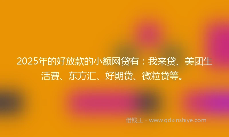 2025年的好放款的小额网贷有：我来贷、美团生活费、东方汇、好期贷、微粒贷等。
