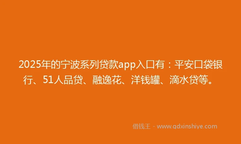 2025年的宁波系列贷款app入口有：平安口袋银行、51人品贷、融逸花、洋钱罐、滴水贷等。