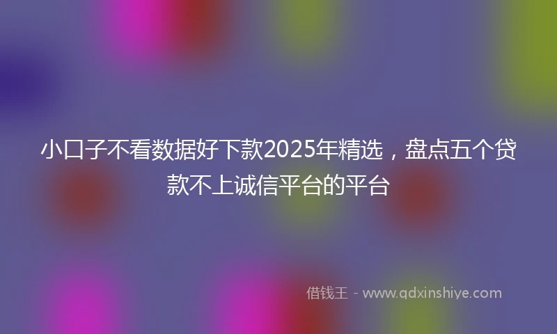 小口子不看数据好下款2025年精选，盘点五个贷款不上诚信平台的平台