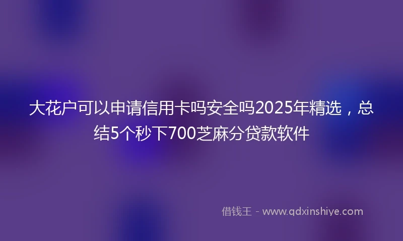 大花户可以申请信用卡吗安全吗2025年精选，总结5个秒下700芝麻分贷款软件