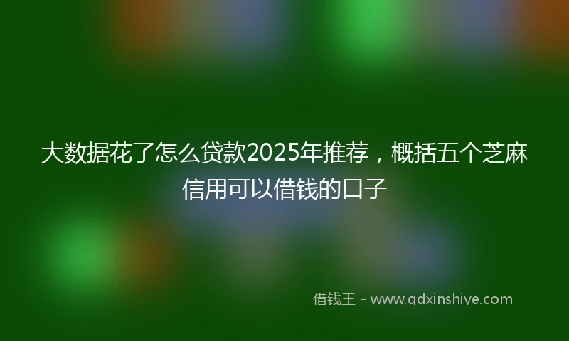 大数据花了怎么贷款2025年推荐，概括五个芝麻信用可以借钱的口子