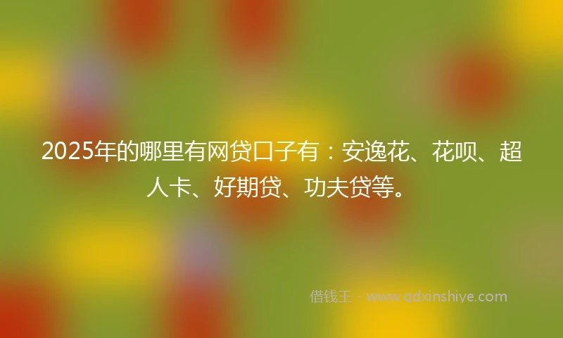 2025年的哪里有网贷口子有：安逸花、花呗、超人卡、好期贷、功夫贷等。
