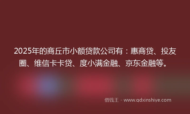 2025年的商丘市小额贷款公司有：惠商贷、投友圈、维信卡卡贷、度小满金融、京东金融等。