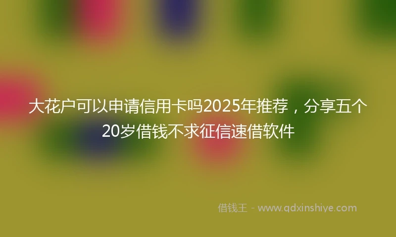 大花户可以申请信用卡吗2025年推荐，分享五个20岁借钱不求征信速借软件