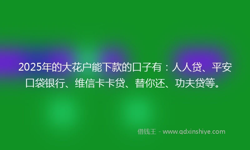 2025年的大花户能下款的口子有：人人贷、平安口袋银行、维信卡卡贷、替你还、功夫贷等。