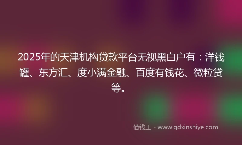 2025年的天津机构贷款平台无视黑白户有：洋钱罐、东方汇、度小满金融、百度有钱花、微粒贷等。