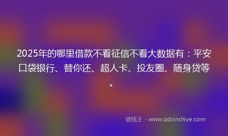 2025年的哪里借款不看征信不看大数据有：平安口袋银行、替你还、超人卡、投友圈、随身贷等。