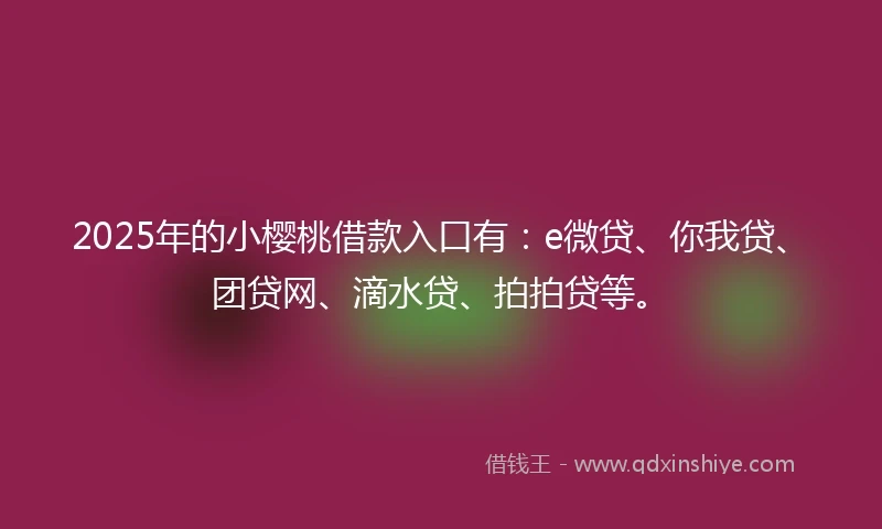 2025年的小樱桃借款入口有：e微贷、你我贷、团贷网、滴水贷、拍拍贷等。