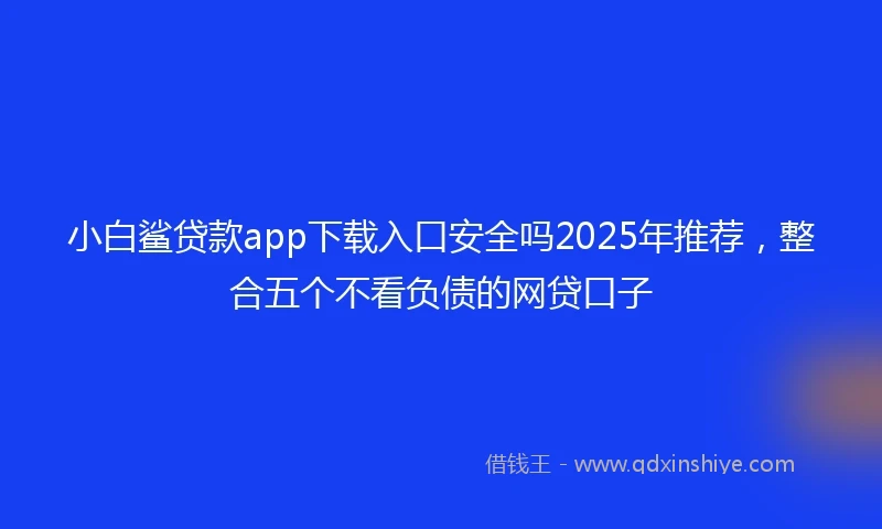 小白鲨贷款app下载入口安全吗2025年推荐，整合五个不看负债的网贷口子