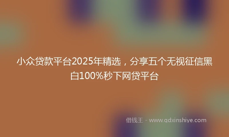 小众贷款平台2025年精选，分享五个无视征信黑白100%秒下网贷平台