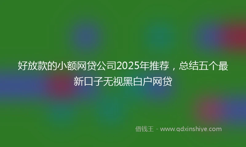 好放款的小额网贷公司2025年推荐，总结五个最新口子无视黑白户网贷