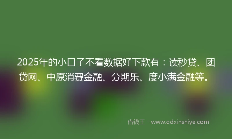 2025年的小口子不看数据好下款有：读秒贷、团贷网、中原消费金融、分期乐、度小满金融等。