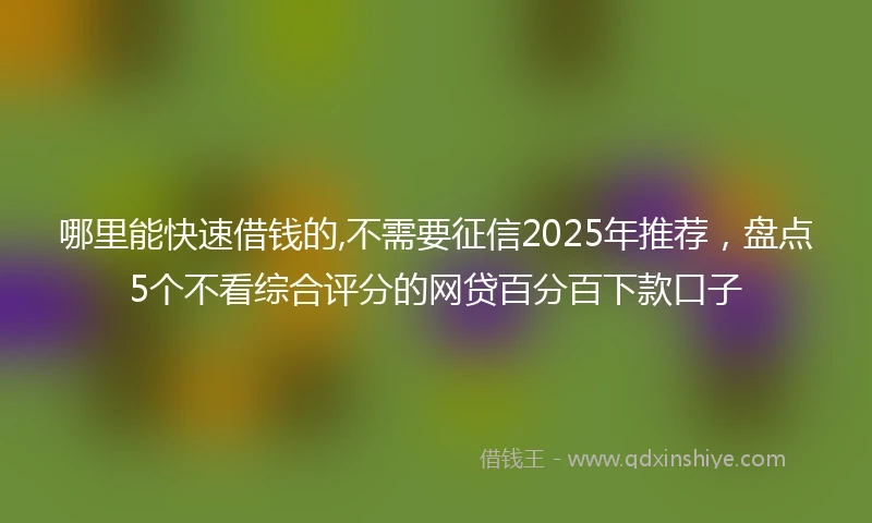 哪里能快速借钱的,不需要征信2025年推荐，盘点5个不看综合评分的网贷百分百下款口子