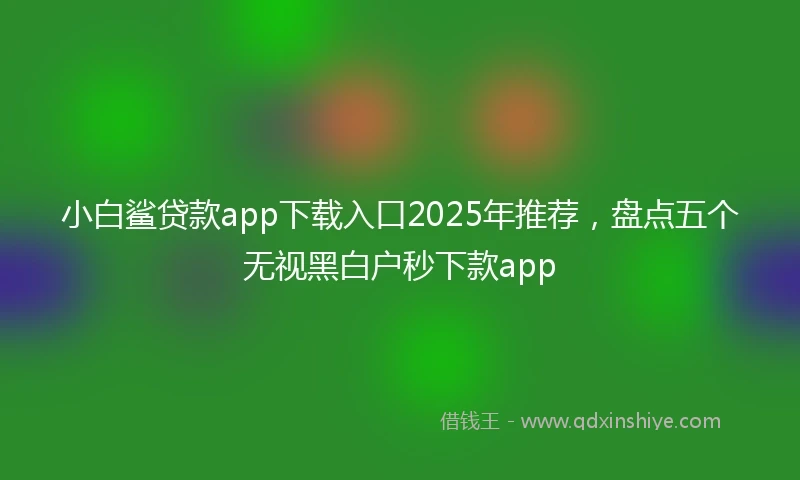 小白鲨贷款app下载入口2025年推荐，盘点五个无视黑白户秒下款app