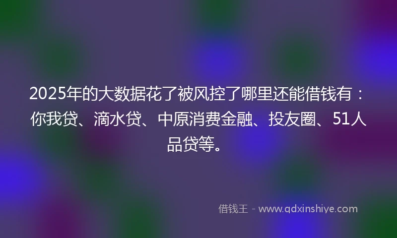 2025年的大数据花了被风控了哪里还能借钱有：你我贷、滴水贷、中原消费金融、投友圈、51人品贷等。