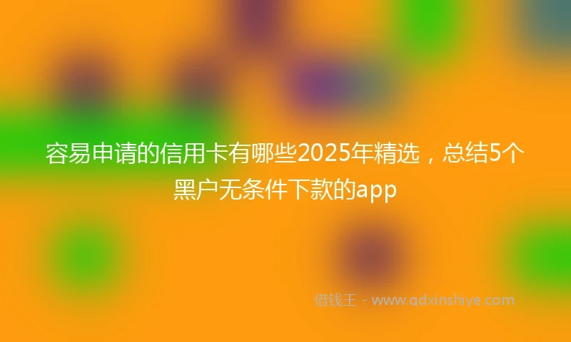 容易申请的信用卡有哪些2025年精选，总结5个黑户无条件下款的app