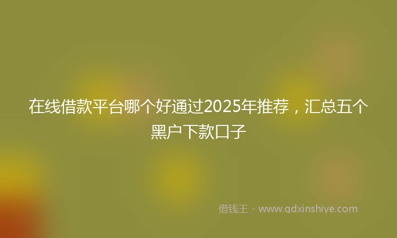 在线借款平台哪个好通过2025年推荐，汇总五个黑户下款口子