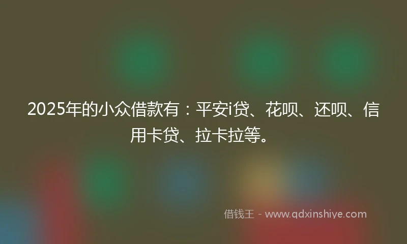 2025年的小众借款有：平安i贷、花呗、还呗、信用卡贷、拉卡拉等。