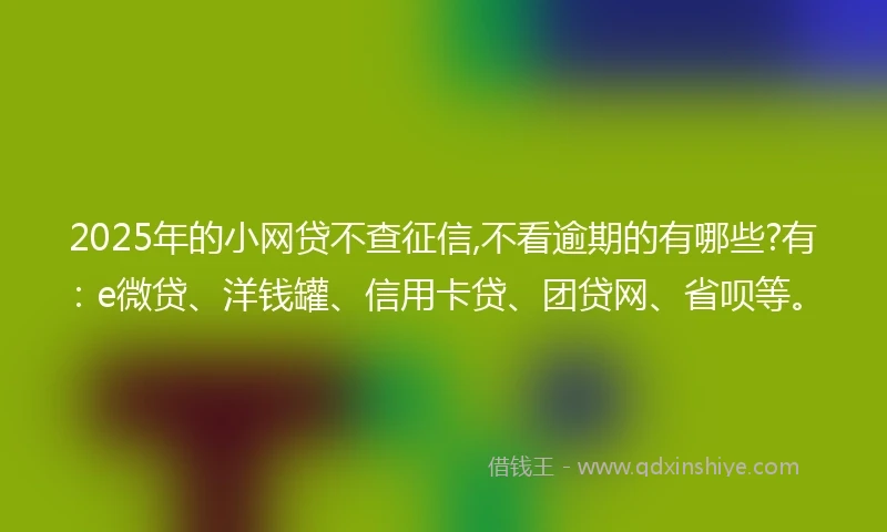 2025年的小网贷不查征信,不看逾期的有哪些?有：e微贷、洋钱罐、信用卡贷、团贷网、省呗等。