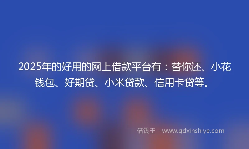 2025年的好用的网上借款平台有：替你还、小花钱包、好期贷、小米贷款、信用卡贷等。