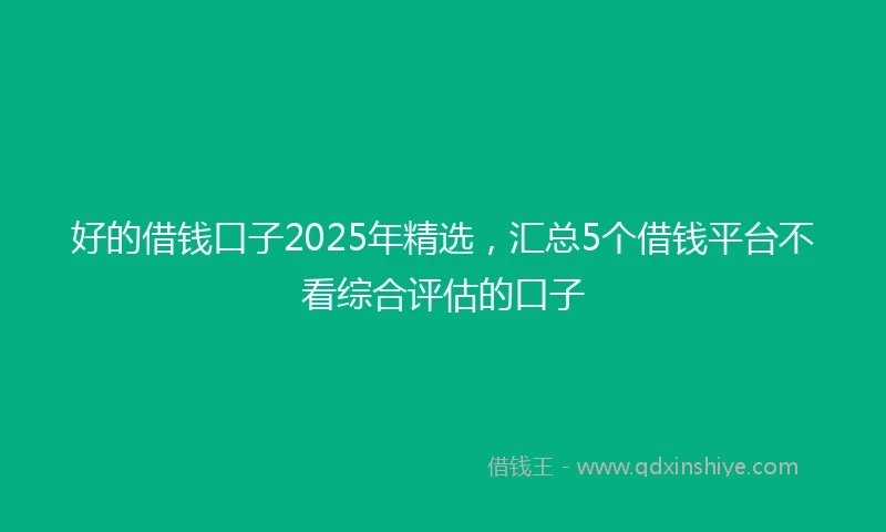 好的借钱口子2025年精选，汇总5个借钱平台不看综合评估的口子