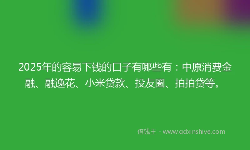 2025年的容易下钱的口子有哪些有：中原消费金融、融逸花、小米贷款、投友圈、拍拍贷等。