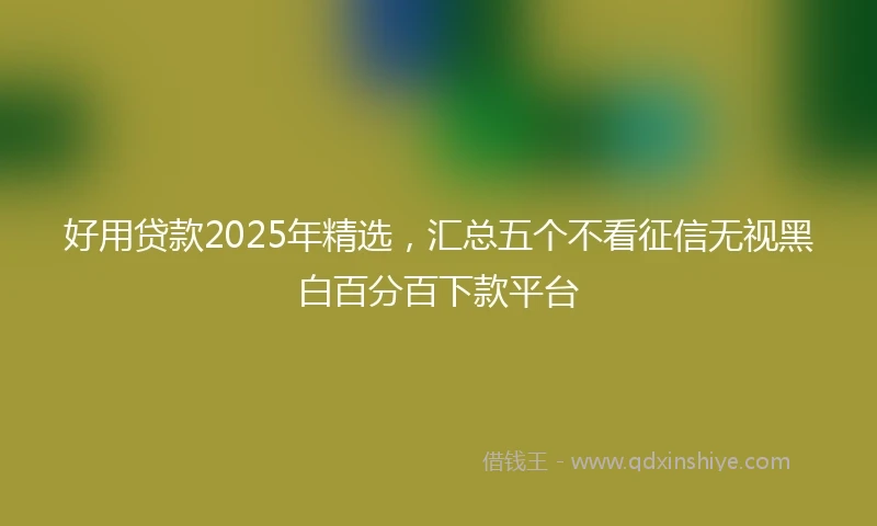 好用贷款2025年精选，汇总五个不看征信无视黑白百分百下款平台