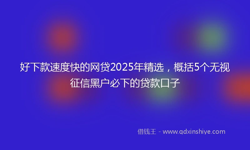 好下款速度快的网贷2025年精选，概括5个无视征信黑户必下的贷款口子