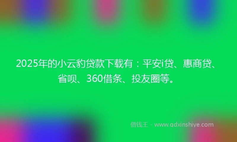 2025年的小云豹贷款下载有：平安i贷、惠商贷、省呗、360借条、投友圈等。