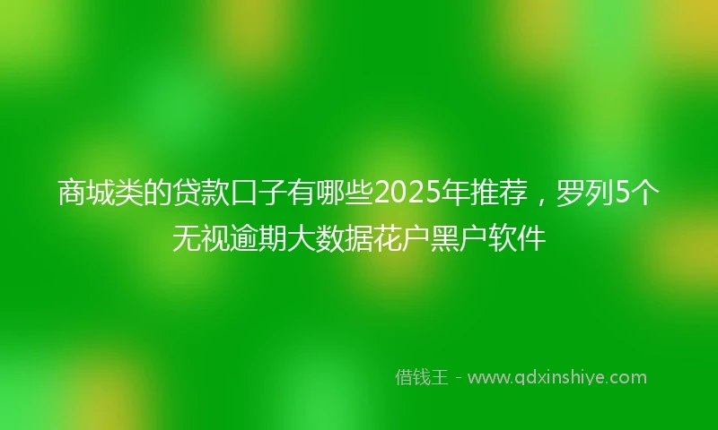 商城类的贷款口子有哪些2025年推荐，罗列5个无视逾期大数据花户黑户软件