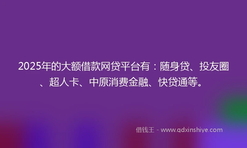 2025年的大额借款网贷平台有：随身贷、投友圈、超人卡、中原消费金融、快贷通等。