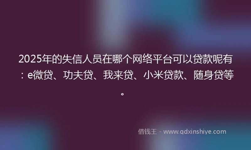 2025年的失信人员在哪个网络平台可以贷款呢有：e微贷、功夫贷、我来贷、小米贷款、随身贷等。
