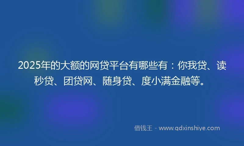 2025年的大额的网贷平台有哪些有：你我贷、读秒贷、团贷网、随身贷、度小满金融等。