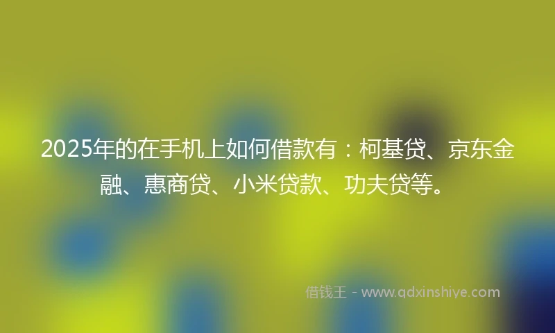 2025年的在手机上如何借款有：柯基贷、京东金融、惠商贷、小米贷款、功夫贷等。